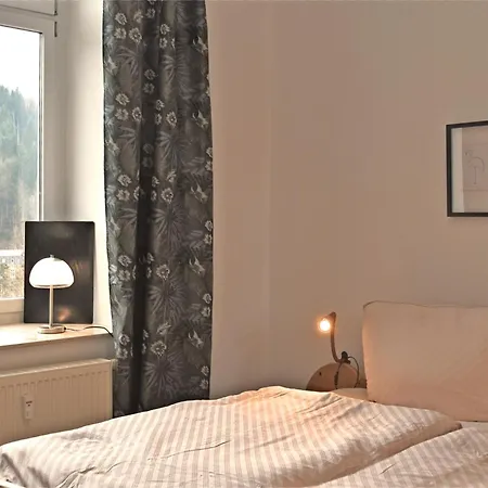 In Borstendorf Nahe Erzgebirge, Cleaning Included Grunhainichen